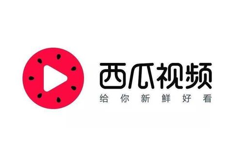 今日头条播放量突破50万