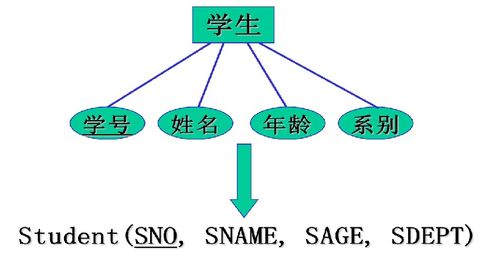 今日头条只播放一半