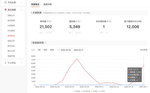 郑州今日头条：智能停车视频解析与停车难问题探讨