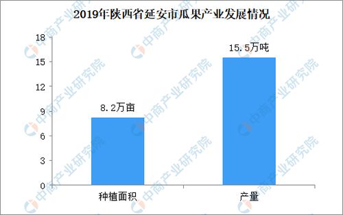 今日头条更新后播放量下降的原因分析与解决策略