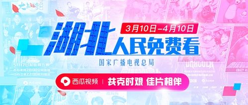 《天津小孩今日头条视频播放趋势分析》