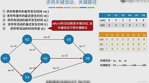 西瓜发芽的过程中视频讲解