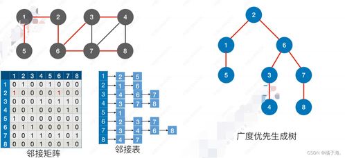 神明宝藏小说今日头条在线阅读