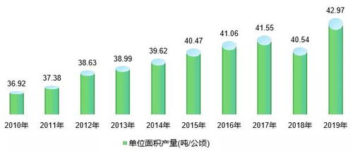 今日头条阅读技巧：如何高效浏览与获取优质内容