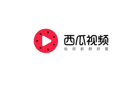 西安今日头条收藏功能详解及官方联系方式