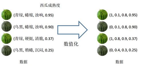 西瓜视频阅读量是什么意思