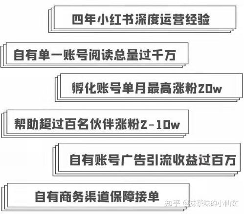 怎么入门小红书赚钱：新手攻略与实用技巧