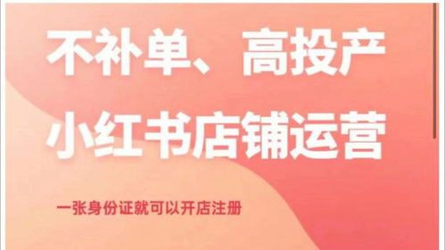 小红书点赞为何无声？探索背后的原因与解决方案