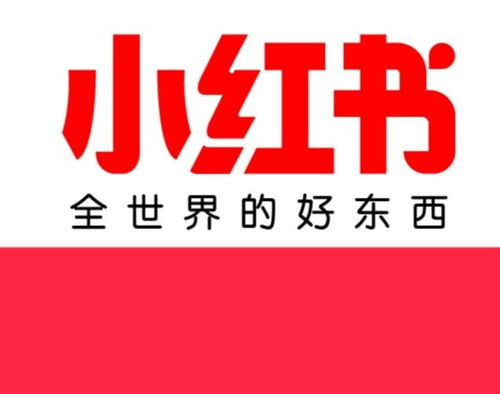 小红书图文编辑攻略：如何轻松插入图片