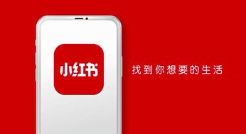 小红书视频置顶技巧与策略