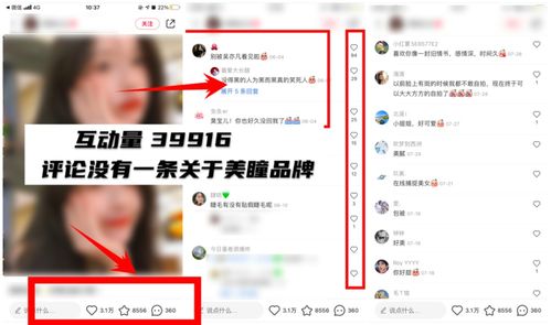 小红书想查找粉丝关注时间