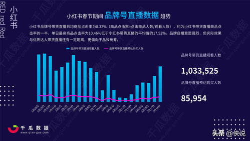 小红书怎么下单蒲公英