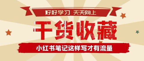 小红书怎么关注别人大号