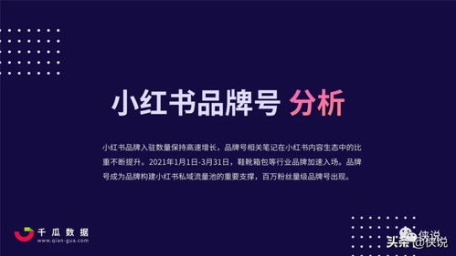 小红书个性签名设置与查找方法