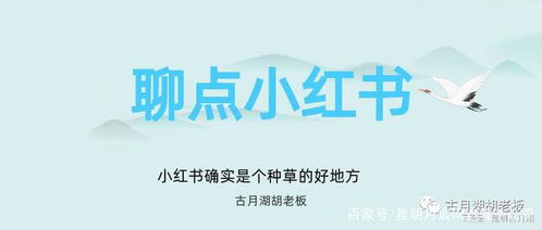 小红书上的素食菜谱，简单几步教你轻松做！