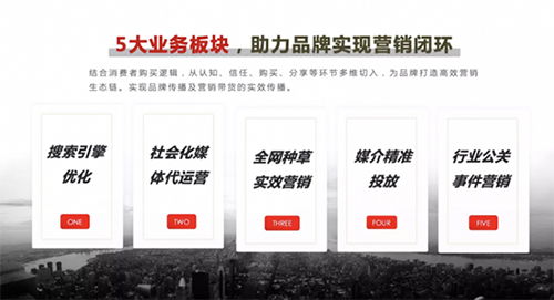 小红书攻略：提升关注与粉丝的秘诀解析