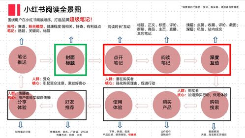 《小红书点赞爆棚秘诀：打造魅力花花头像攻略》