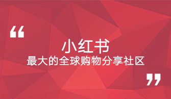 小红书运营感受怎么写