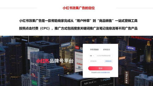 小红书发现关注怎么取消