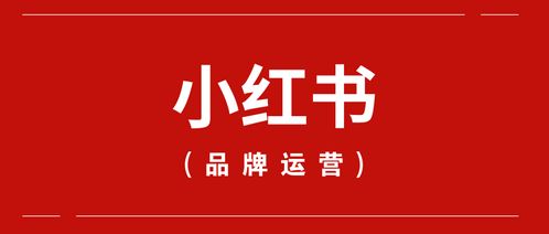 小红书数码官方账号注销流程详解