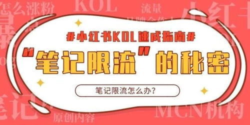 解析小红书图文阅读：了解其内容特点与受众喜好