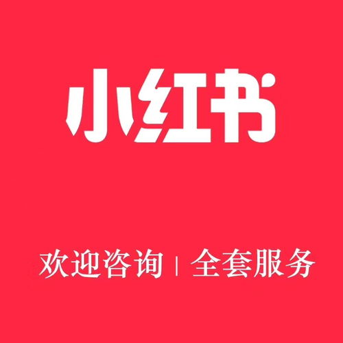 小红书怎么下单蒲公英