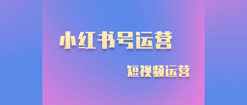 小红书BGM查看方法详解