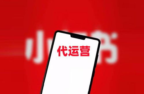 iPhone下载小红书APP的详细步骤