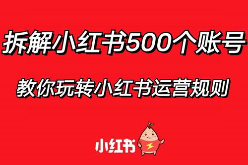 小红书黑金气垫中奖攻略：提升中奖率的实用技巧