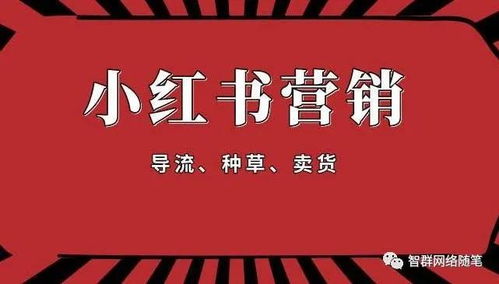 《小红书心理作品发布攻略：让你的内容脱颖而出》