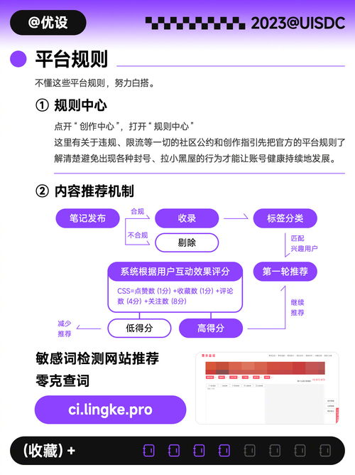 小红书年度报表查询方法详解