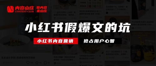 小红书资料获取难题解析与解决方案