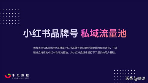 怎么折衣服小红书视频教程：轻松学会衣物整理技巧