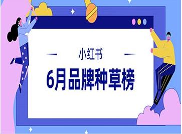 小红书移除关注后对方是否可见？详解关注与取消关注的影响