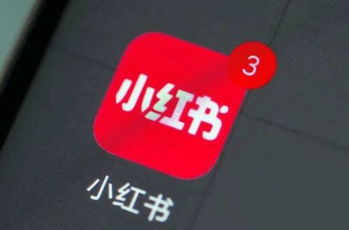 小红书主播打卡全攻略：步骤解析与技巧分享