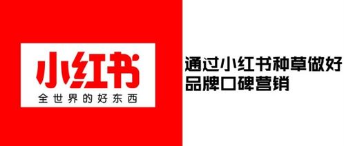 小红书屏幕亮度调节教程：轻松调暗屏幕，保护视力