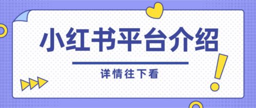 小红书正文换行打字技巧全解