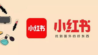 iPad发小红书视频教程：一键上传，轻松分享