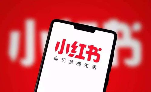 小红书心情标签怎么加音乐