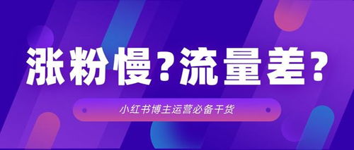 小红书首饰粉条推广策略详解