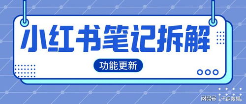 在小红书获得50万阅读量