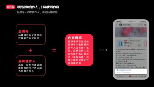 小红书帐号无法被关注