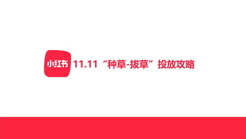 小红书空投券码领取攻略：教你轻松获得优惠券码