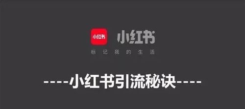 小红书怎么找约的