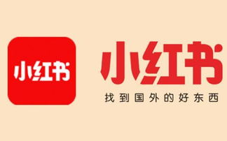 小红书关注私信不回复什么意思