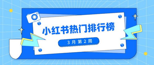 小红书用户权益保障：如何修改与提升保障措施