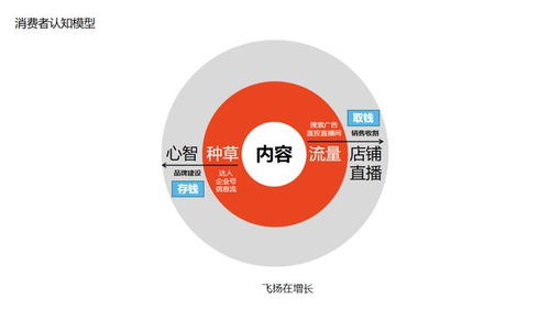 小红书视频位置变动指南：如何快速找到与操作