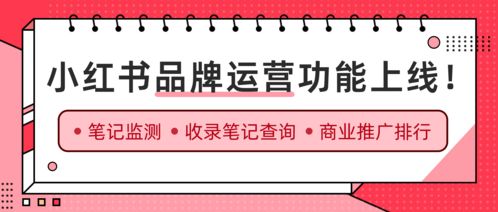 小红书视频高清化：网站教程与技巧全解析