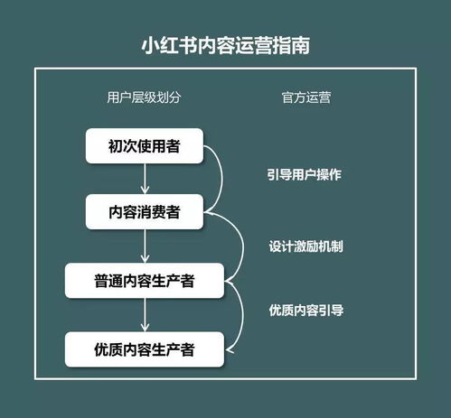 小红书怎么做任务挣钱