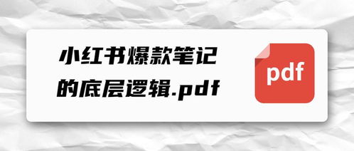 《如何撰写高效的小红书未来运营计划书》